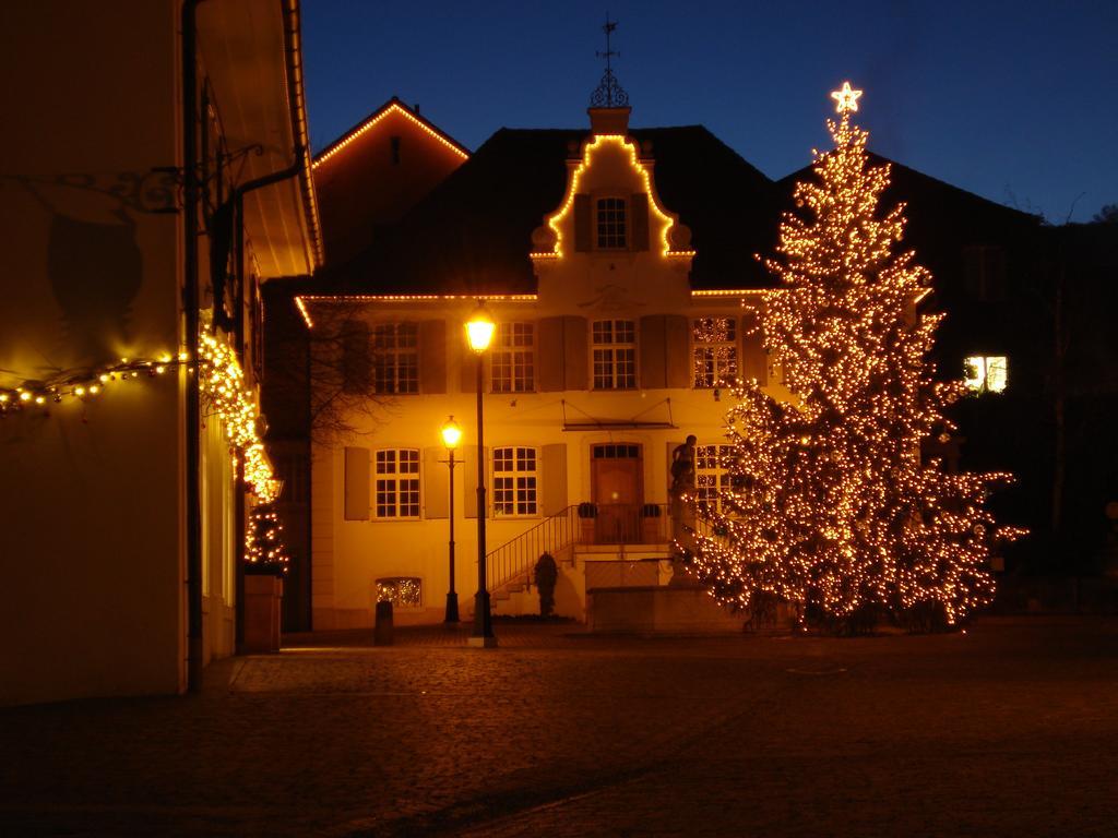 Hotel Gasthof Zum Ochsen Arlesheim Buitenkant foto